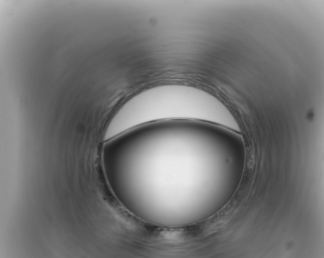 X0000095130560200712071011