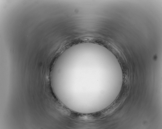 X0000095130561200712071011