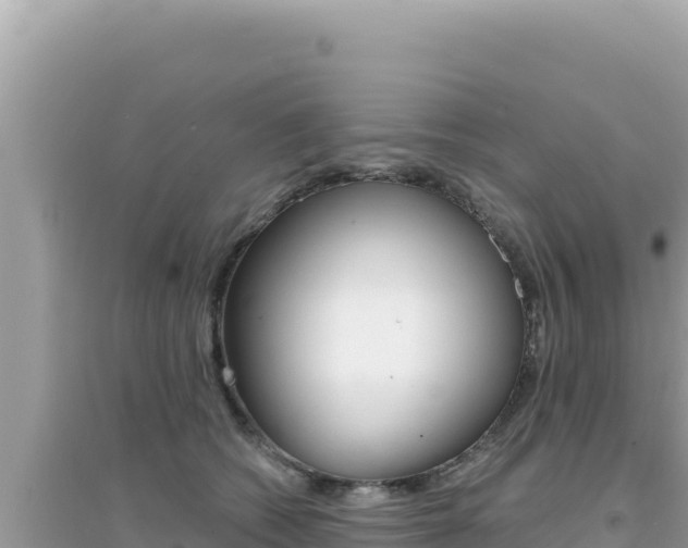 X0000095130562200712071011