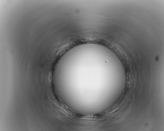 X0000095130563200712071011