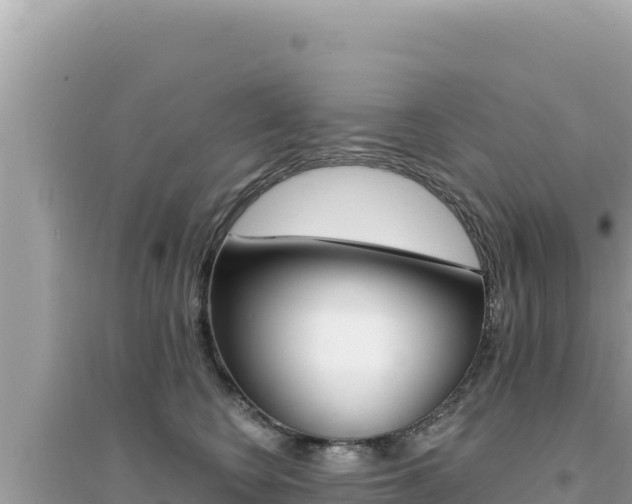 X0000095130566200712071011