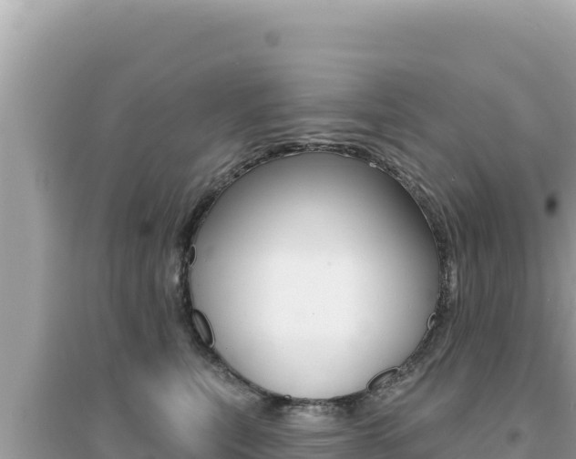 X0000095130567200712071011