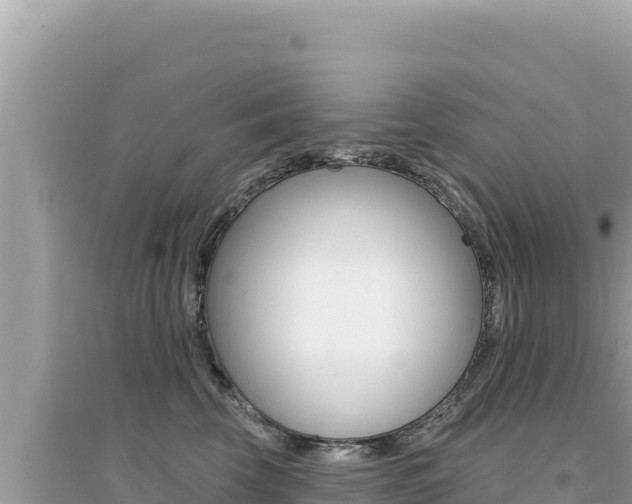 X0000095130569200712071011