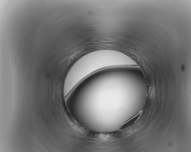 X0000095130570200712071011