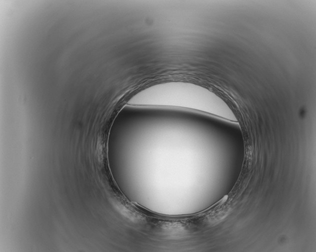 X0000095130572200712071011