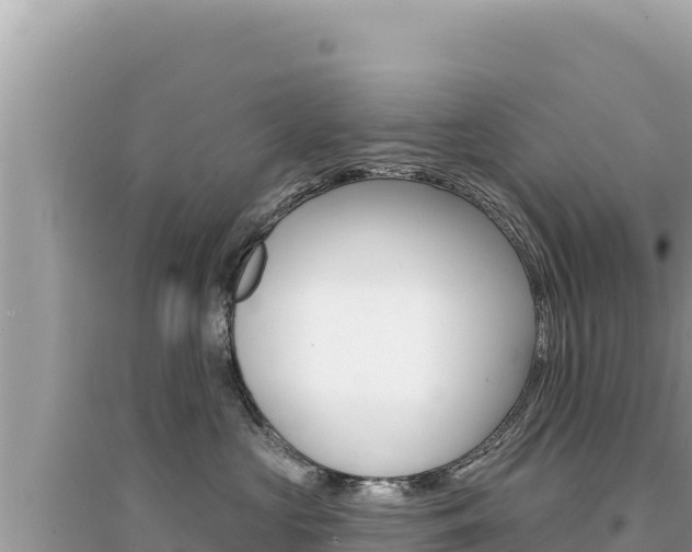 X0000095130573200712071011