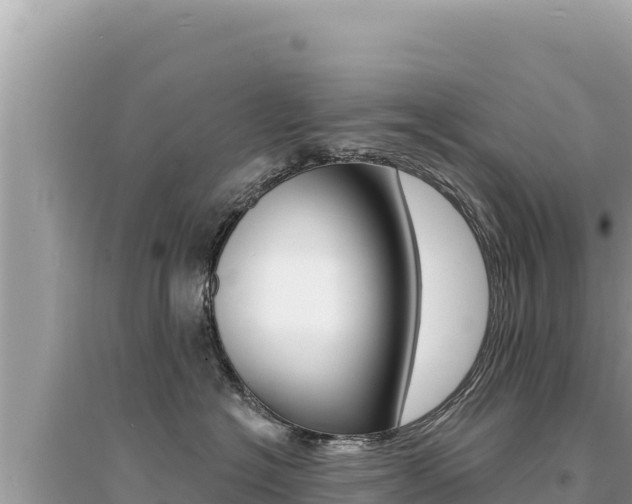 X0000095130574200712071011
