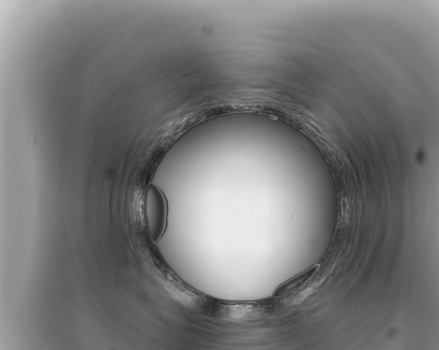 X0000095130575200712071011