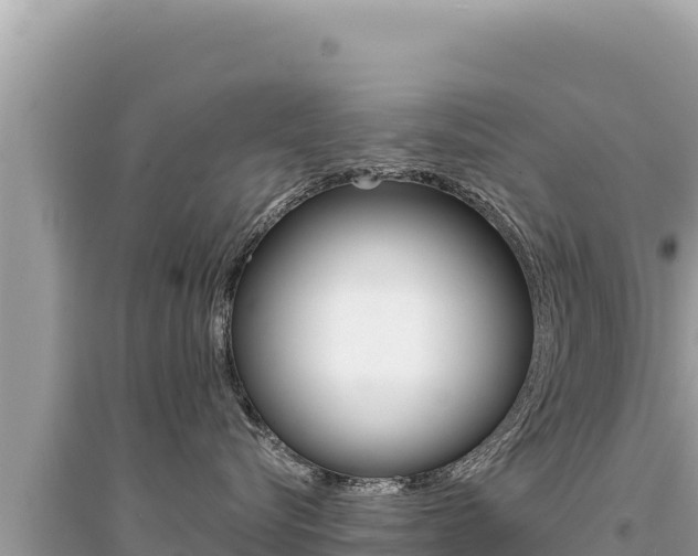 X0000095130576200712071011