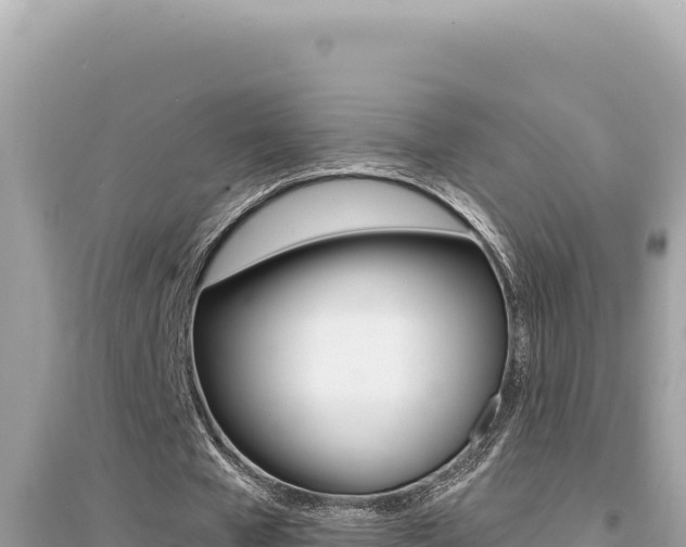 X0000095130577200712071010