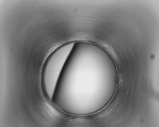 X0000095130578200712071010