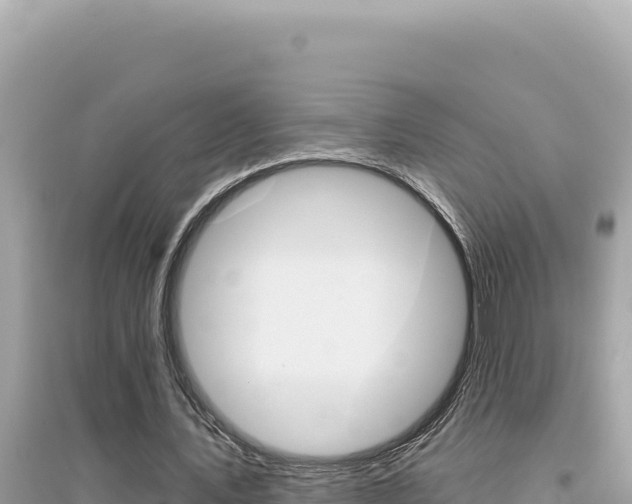 X0000095130579200712071010
