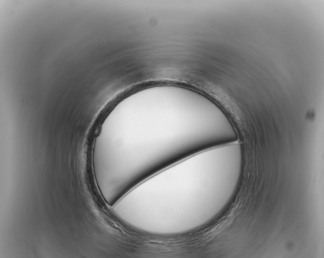 X0000095130580200712071010