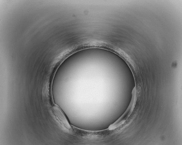 X0000095130581200712071010