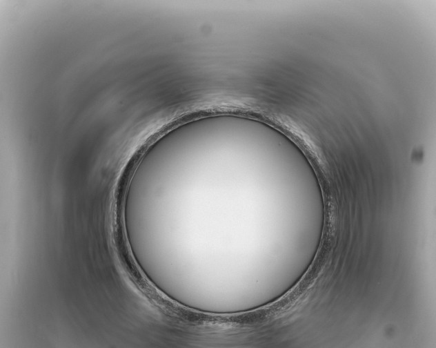 X0000095130582200712071010