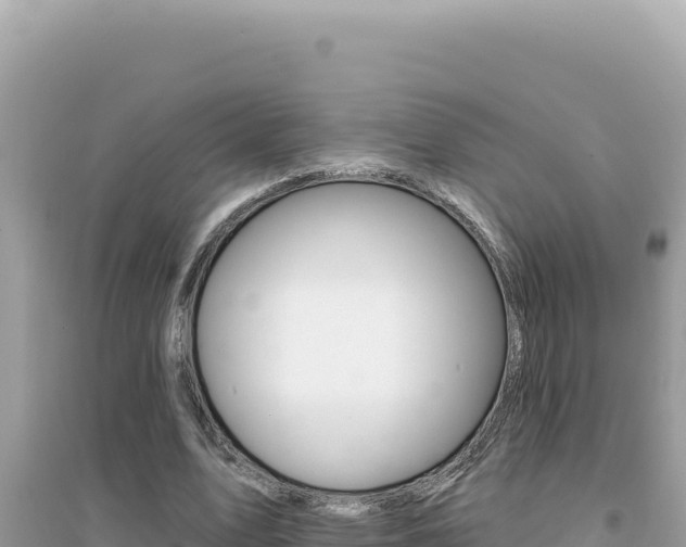 X0000095130583200712071010