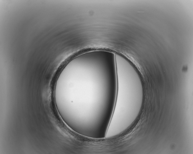 X0000095130584200712071010