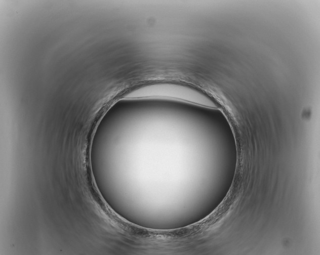 X0000095130585200712071010