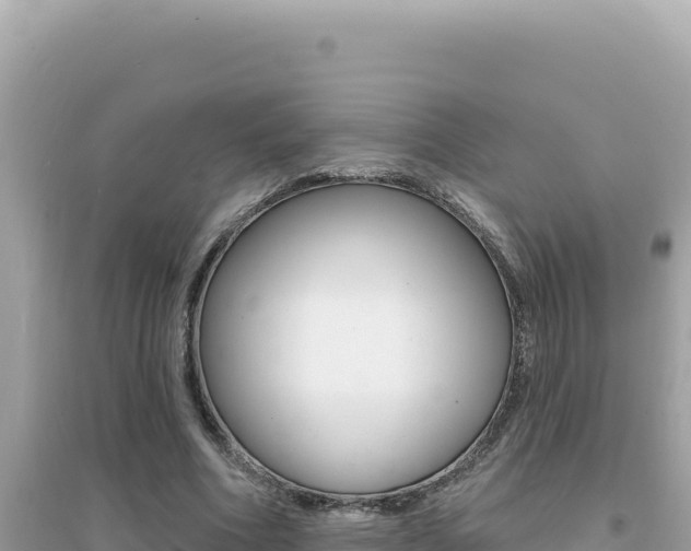 X0000095130586200712071010