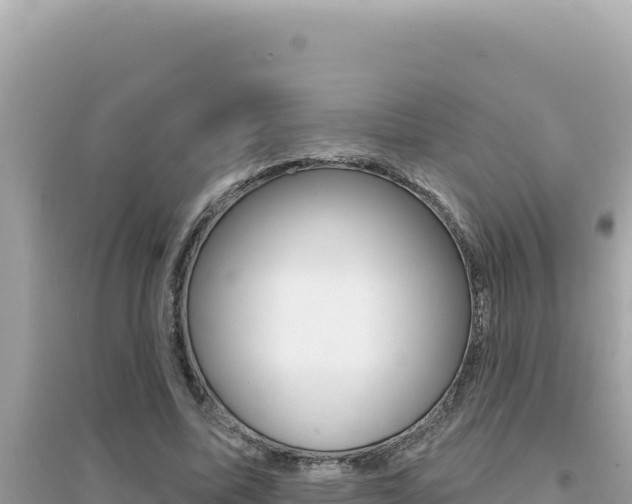 X0000095130587200712071010