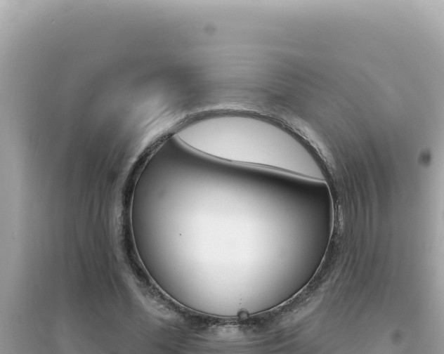 X0000095130588200712071010