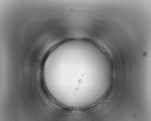 X0000095130591200712071010