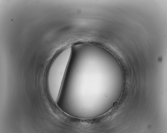 X0000095130592200712071010