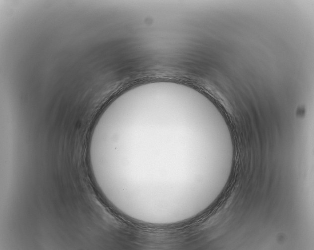 X0000095130593200712071010