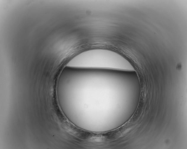 X0000095130595200712071010