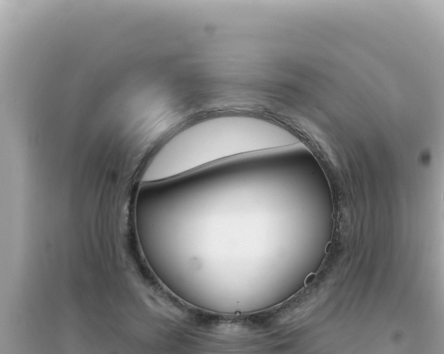 X0000095130596200712071010