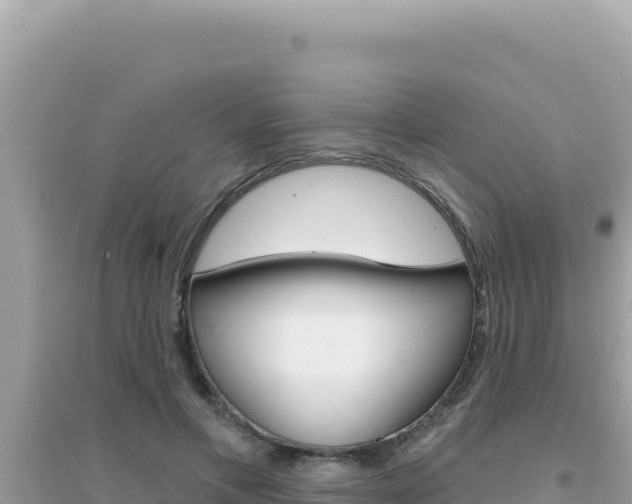 X0000095130597200712071010