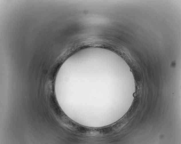 X0000095130598200712071010