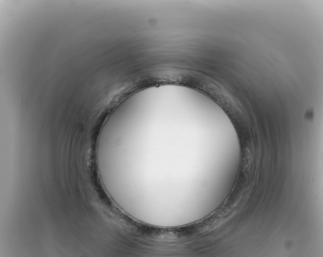 X0000095130600200712071010