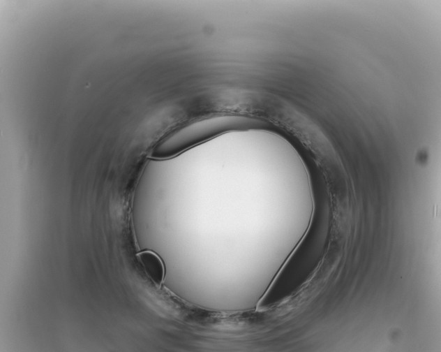 X0000095130601200712071010