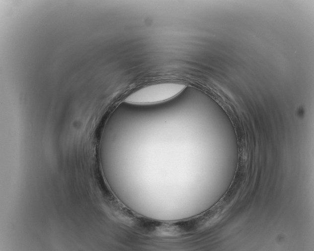 X0000095130603200712071010