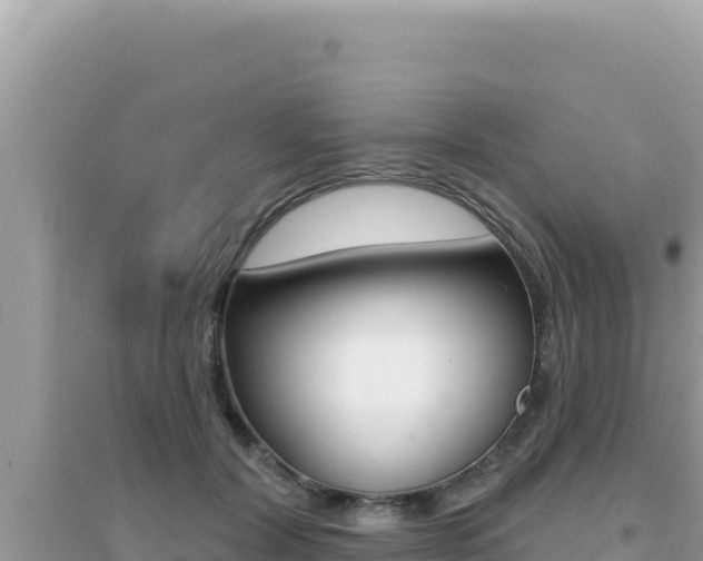 X0000095130604200712071010