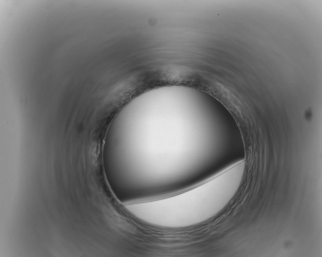 X0000095130605200712071010