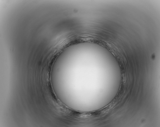 X0000095130606200712071010