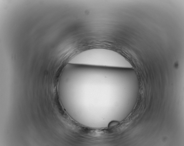 X0000095130607200712071010