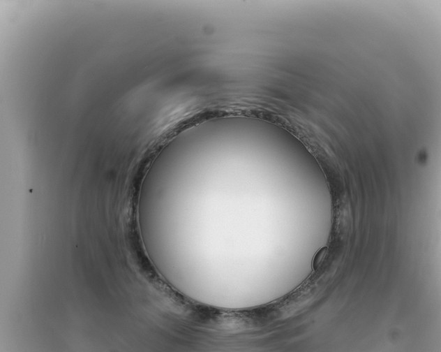 X0000095130608200712071010