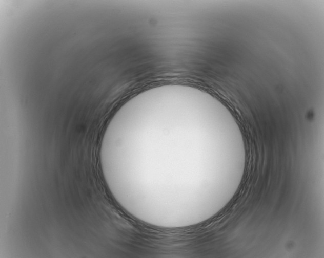 X0000095130609200712071010