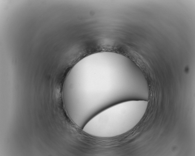 X0000095130610200712071010