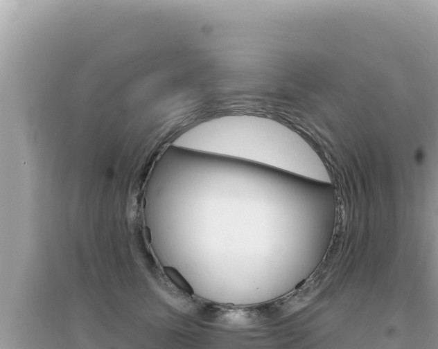 X0000095130611200712071010