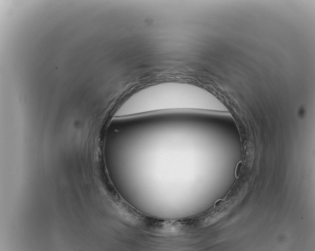 X0000095130612200712071010