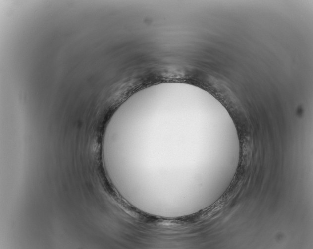 X0000095130614200712071010