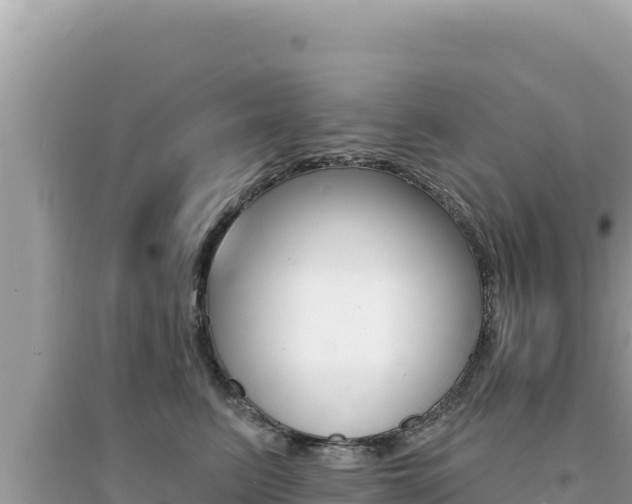 X0000095130615200712071010