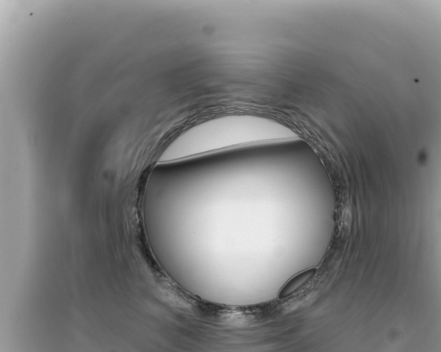 X0000095130616200712071010