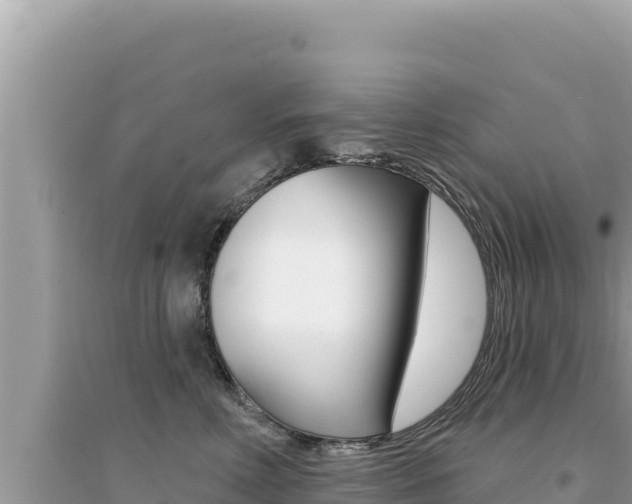 X0000095130618200712071009