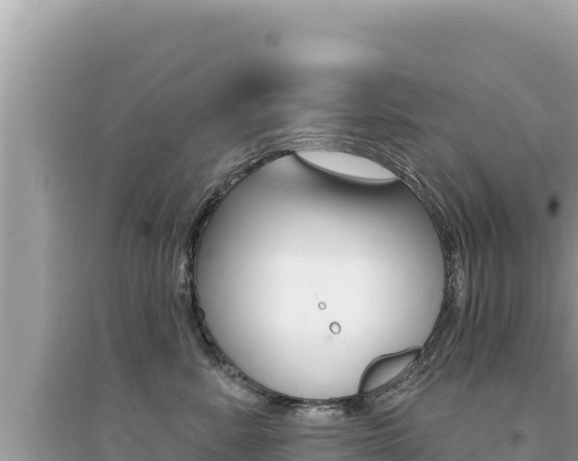 X0000095130619200712071009