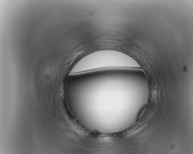 X0000095130620200712071009